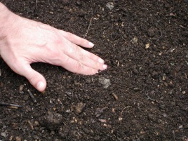 Horticutture Therapy ~ Hands and Soil