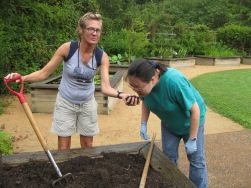 Therapeutic Gardening Rocks the Heart and Soul